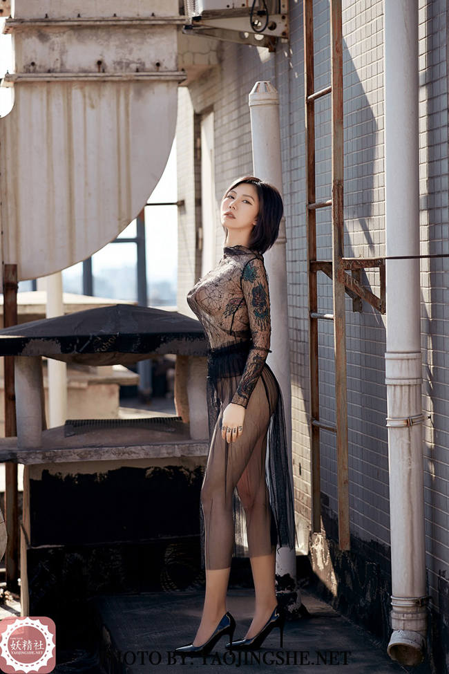 [妖精社] 《望京》 菊花